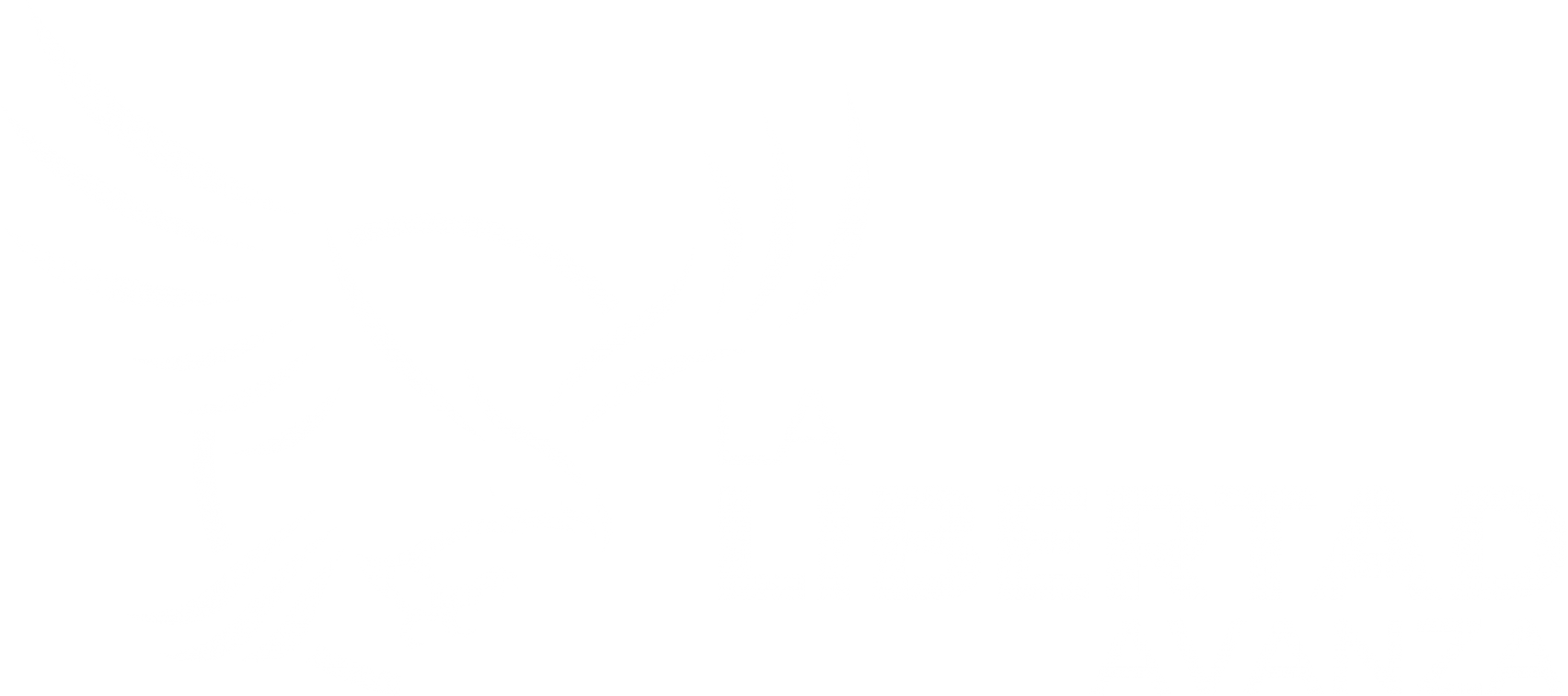 La Libertad Avanza provincia de La Rioja